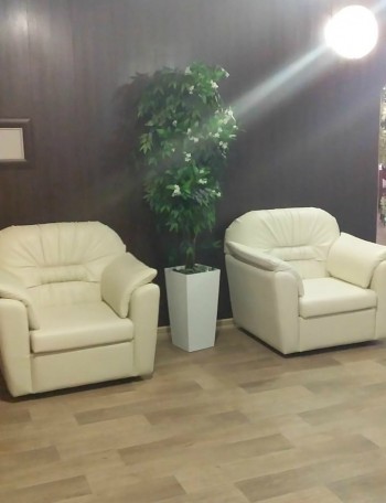 Кресло Премьер в Алдане - aldan.mebel54.com | фото